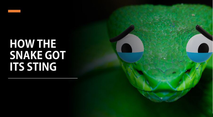 How the snake got its sting