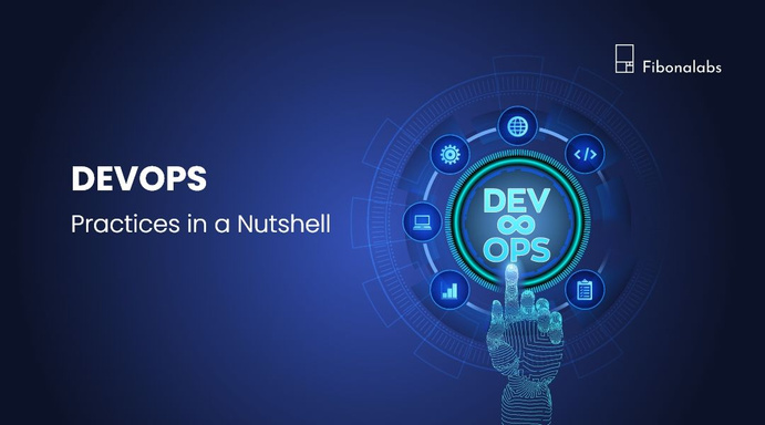 DevOps Practices In A Nutshell