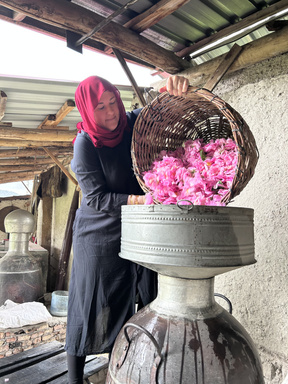 Image of Author Yasemin Kasim Luebke