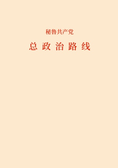 总政治路线