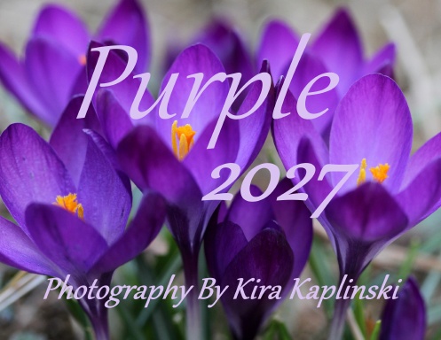 Purple - Calendar 2027