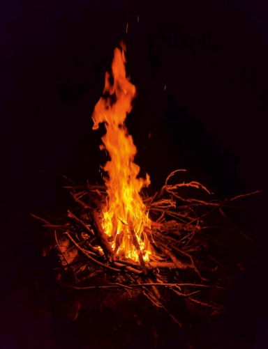 Year of Fire: Poetry and Paintings