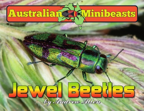 Jewel Beetles