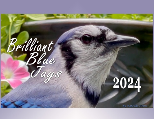Brilliant Blue Jays