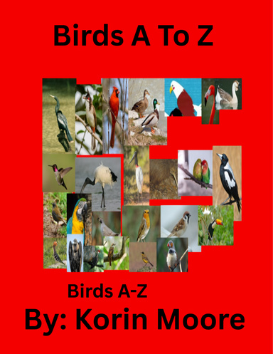 Birds A To Z