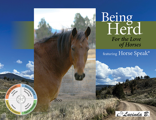 Being Herd