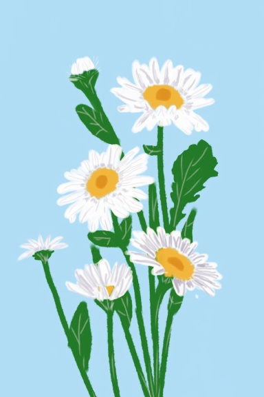 Daisies Notebook