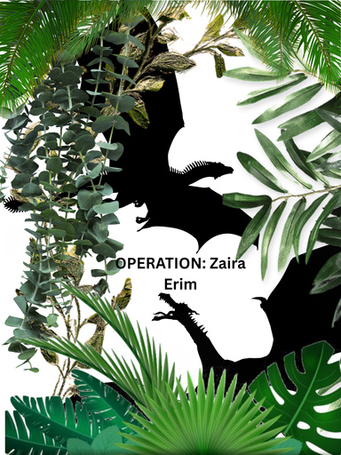 OPERATION: Zaira Erim