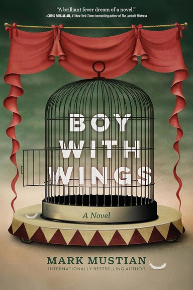 The Boy with Wings