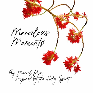 Marvelous Moments