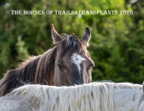 trails 4 transplants 2026