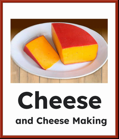 Cheese and Cheese Making