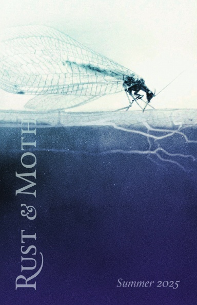 Rust and Moth: Summer 2025