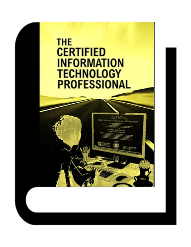 The Certified Information Technology Professional