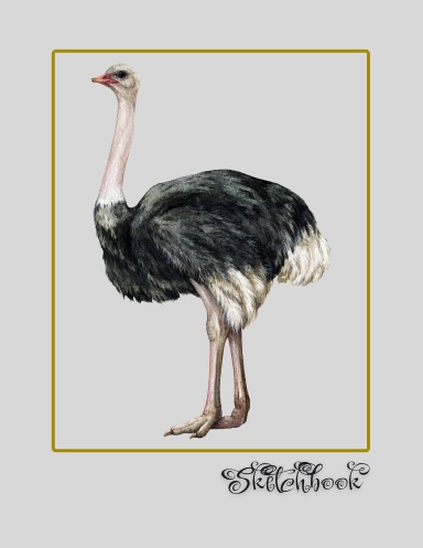 Ostrich Sketchbook