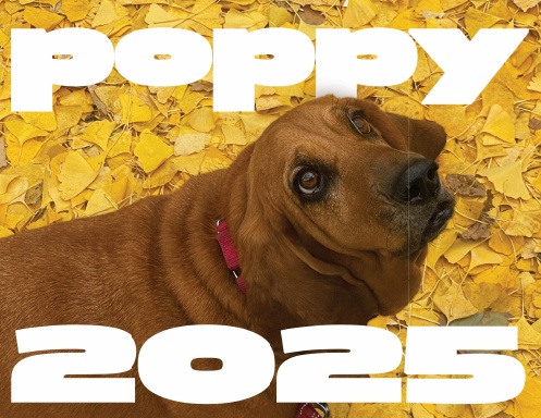 POPPY 2025