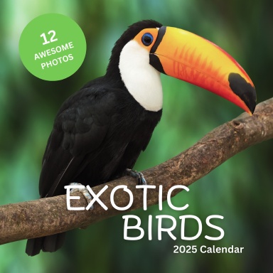 2025 Exotic Birds Wall Calendar