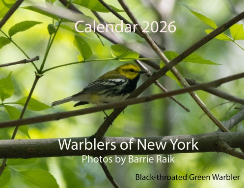 2026 Calendar