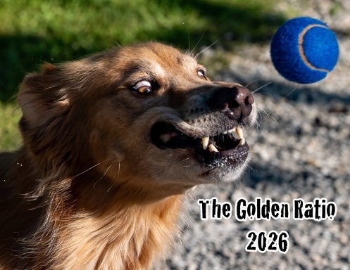 The Golden Ratio Calendar