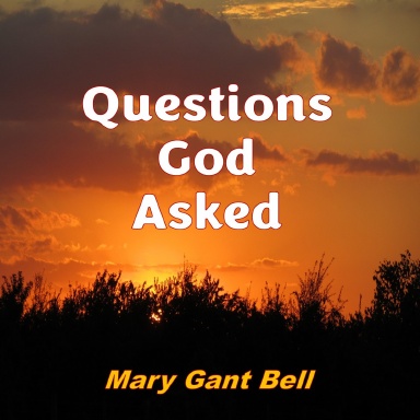 Questions God Asked
