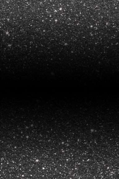 Black Sparkly Lined Journal