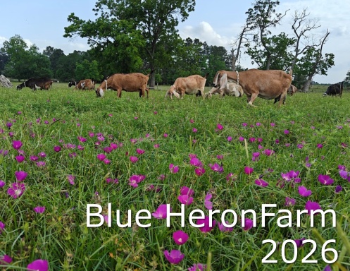 Blue Heron Farm 2026
