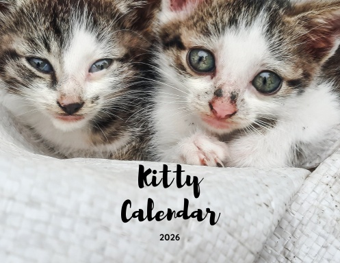 2026 Kitty Calendar
