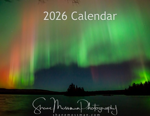 2026 Calendar