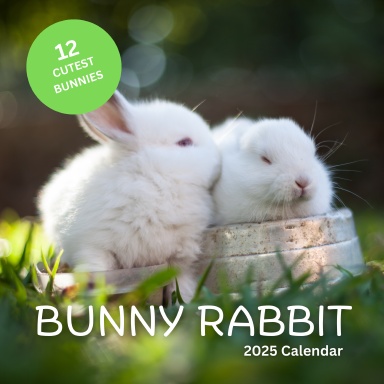 2025 Bunny Rabbit Wall Calendar