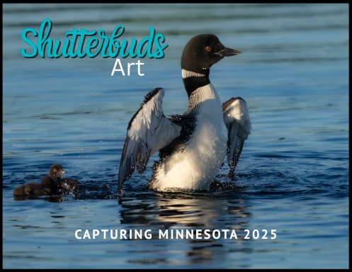 Shutterbuds 2025
