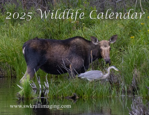 2025 Wildlife Calendar