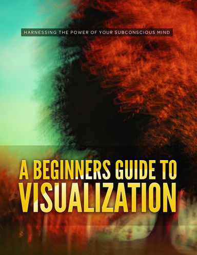 A Beginners Guide To Visualization - Training Guide