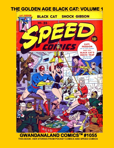 The Golden Age Black Cat: Volume 1