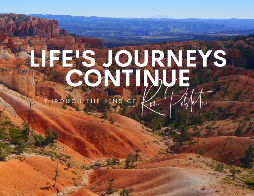 Life's Journeys Continue