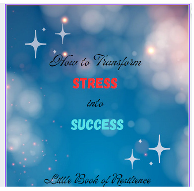 How to transform Stress to Success-Little Book of Resilience