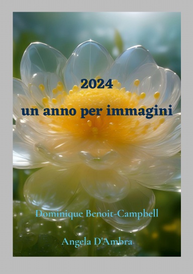 Un anno per immagini