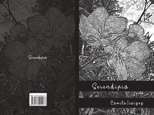 Serendipia