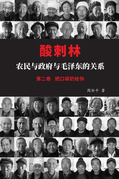 酸刺林: 农民与政府与毛泽东的关系（二卷）