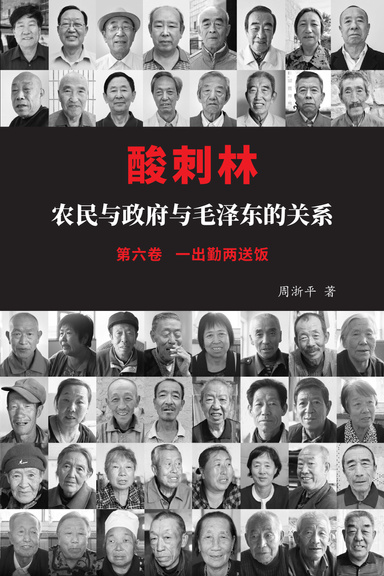 酸刺林: 农民与政府与毛泽东的关系（六卷）