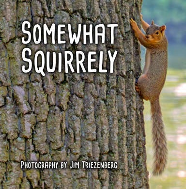 Somewhat Squirrely