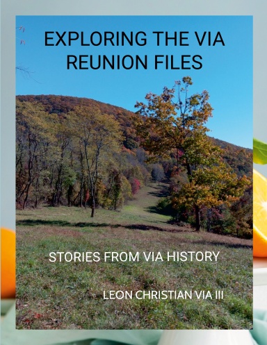 Exploring the Via Reunion Files