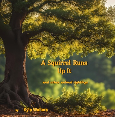 A Squirrel Runs Up It