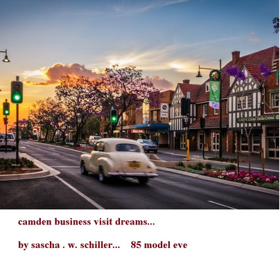 Camden Business Visit Dreaming