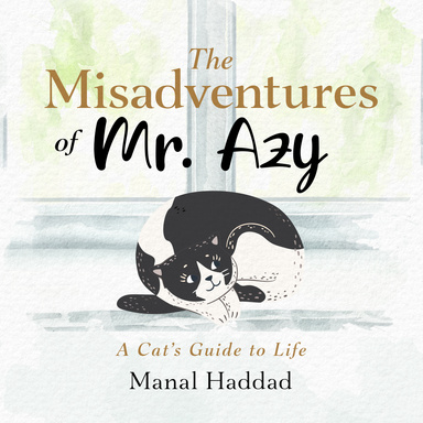 The Misadventures of Mr. Azy