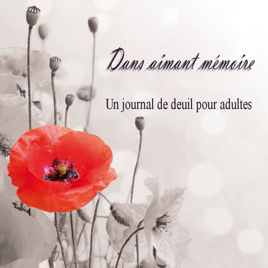 Dans aimant mémoire