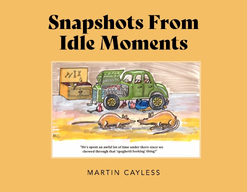 Snapshots From Idle Moments
