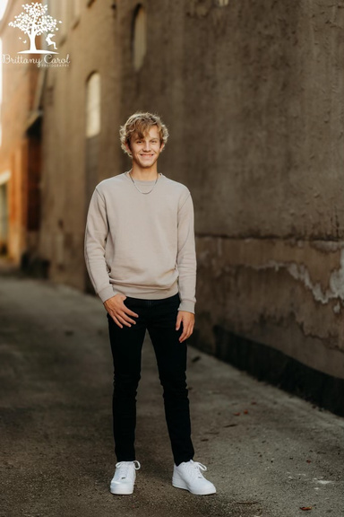 Image of Author A. L . Hamilton