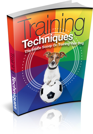 Dog  Training Techniques