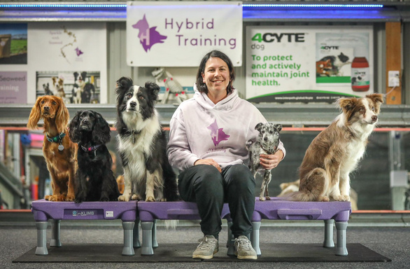 Image of Author Hybrid Dog Training (Kelly Daniel)