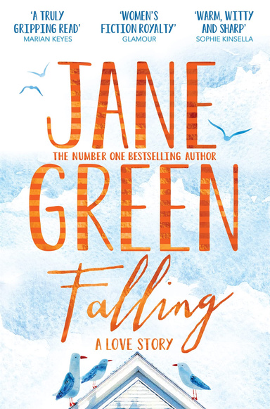 Falling A Love Story